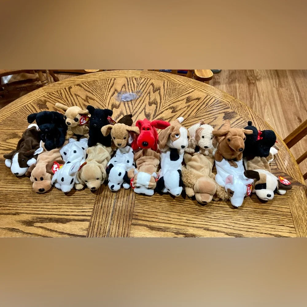 19 Ty dog beanie babies